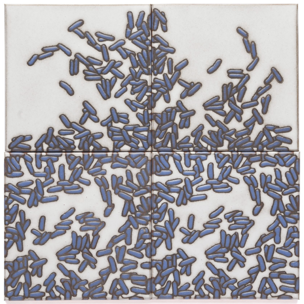 The Bacterial Colony Tile series serves to remind us of the critical role these microorganisms play in the natural world, by making plainly visible that which is present but largely unseen.   Create your own microscopic world by interconnecting, twisting and rotating the three basic Bacterial Colony Tile designs. 