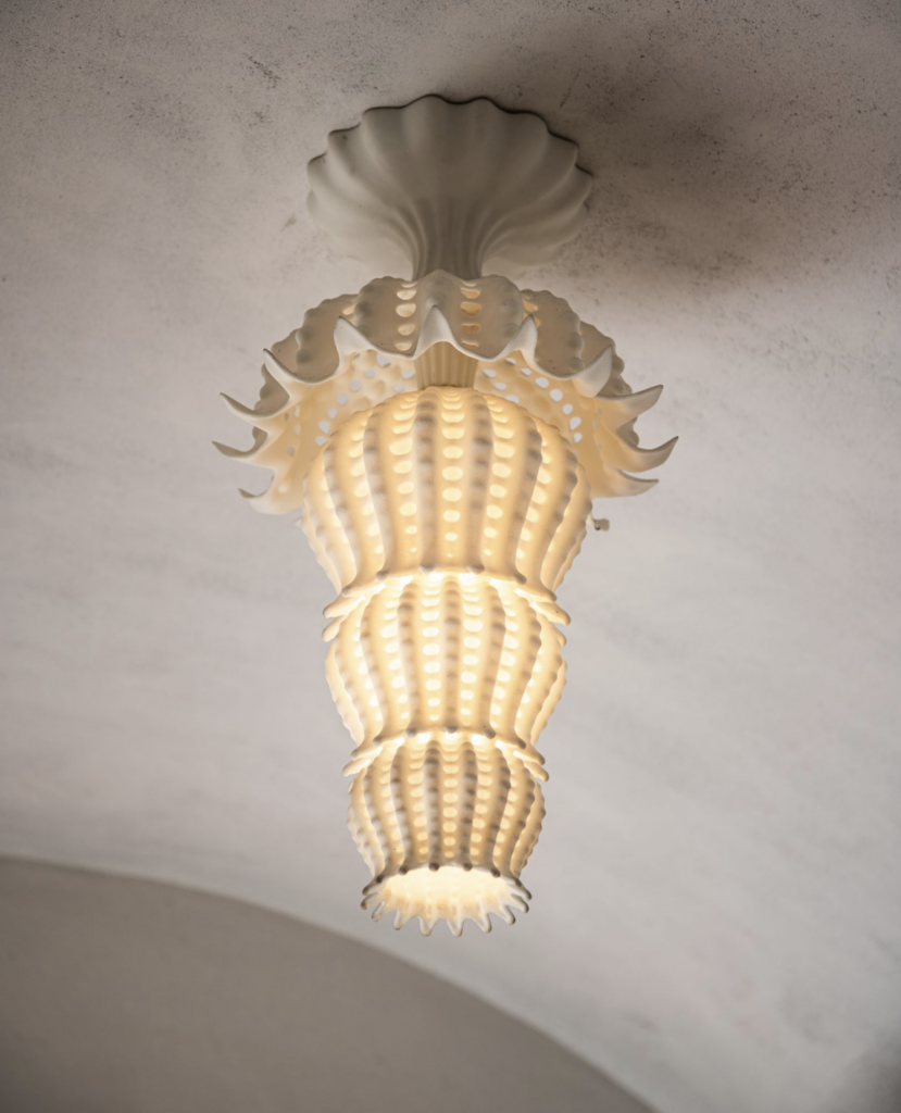 The CarbonShack Thalamphora semi-flush mount fixture references the artwork and scientific investigations of 19th-century zoologist & naturalist Ernst Haeckel.